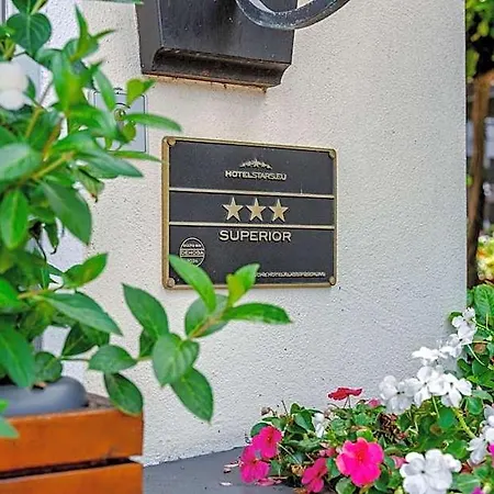 Unter Den Linden Hotell Schwetzingen
